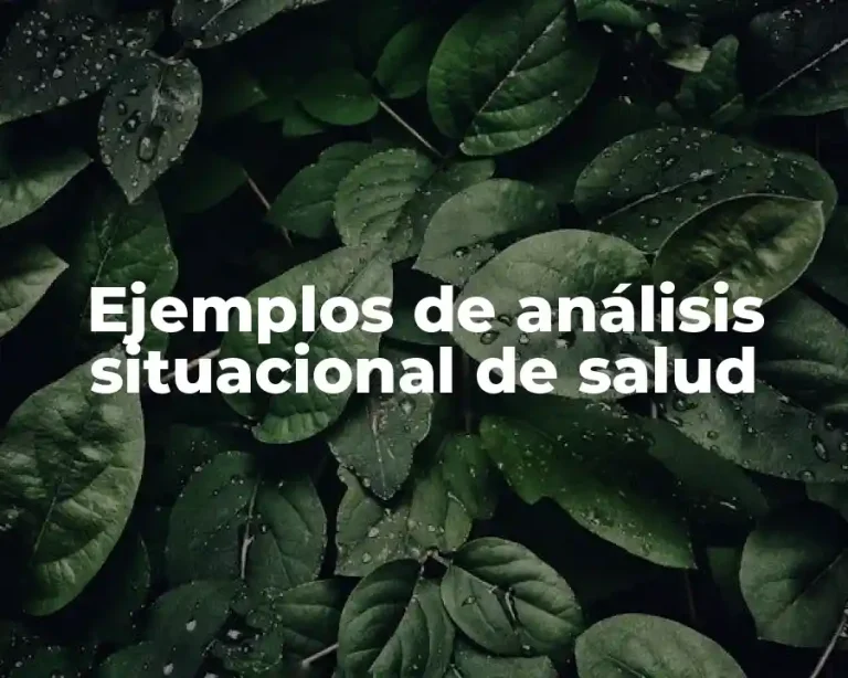 Ejemplos de análisis situacional de salud