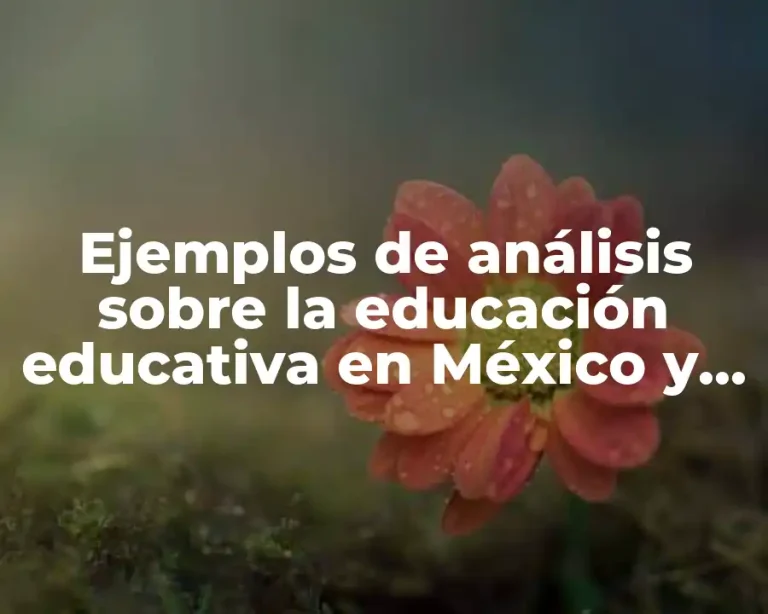 Ejemplos de análisis sobre la educación educativa en México y Significado