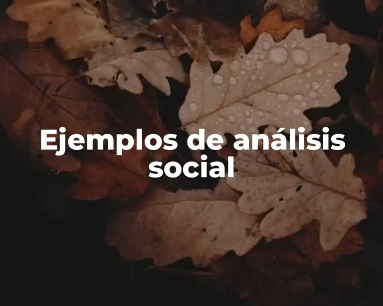 Ejemplos de análisis social