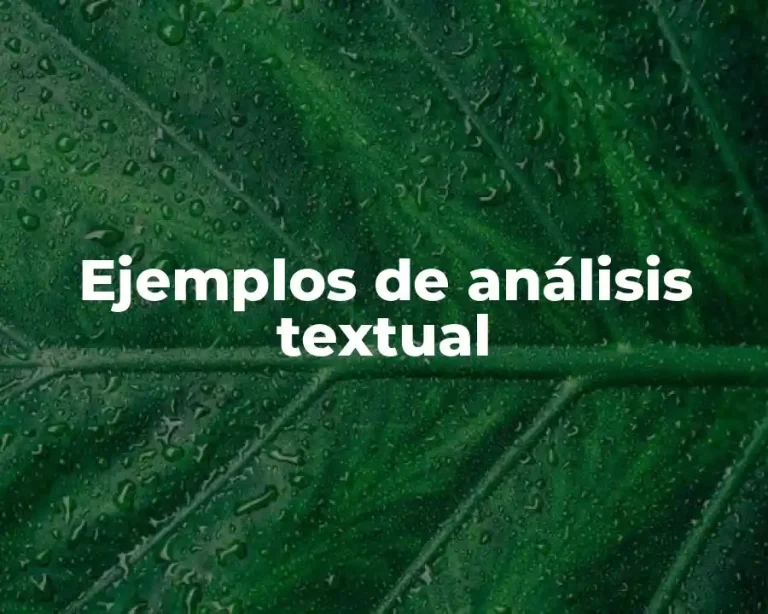 Ejemplos de análisis textual