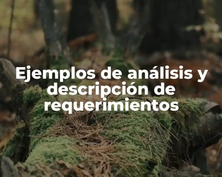 Ejemplos de análisis y descripción de requerimientos