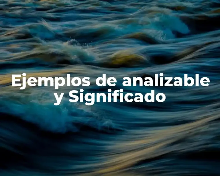 Ejemplos de analizable y Significado