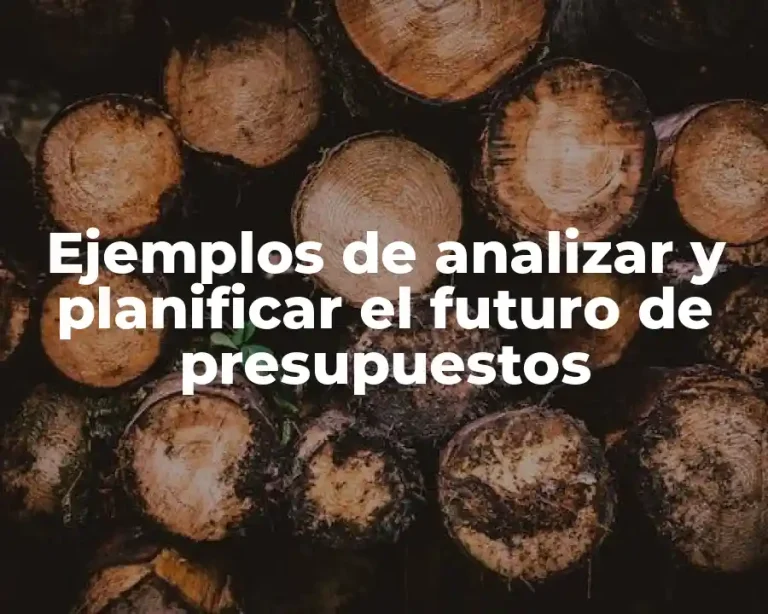 Ejemplos de analizar y planificar el futuro de presupuestos