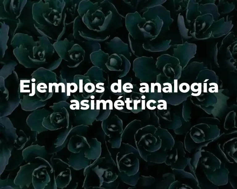 Ejemplos de analogía asimétrica