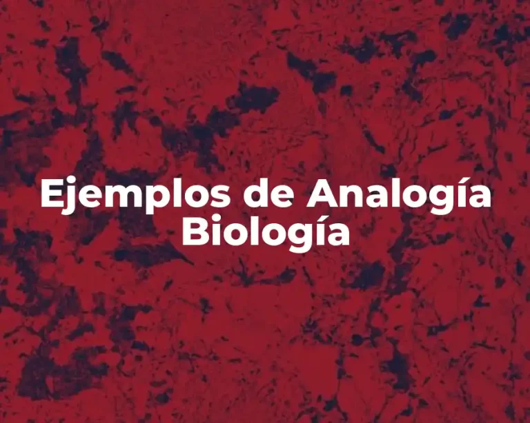 Ejemplos de Analogía Biología