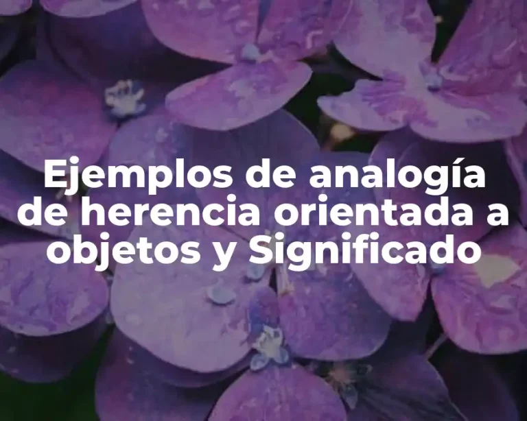 Ejemplos de analogía de herencia orientada a objetos y Significado