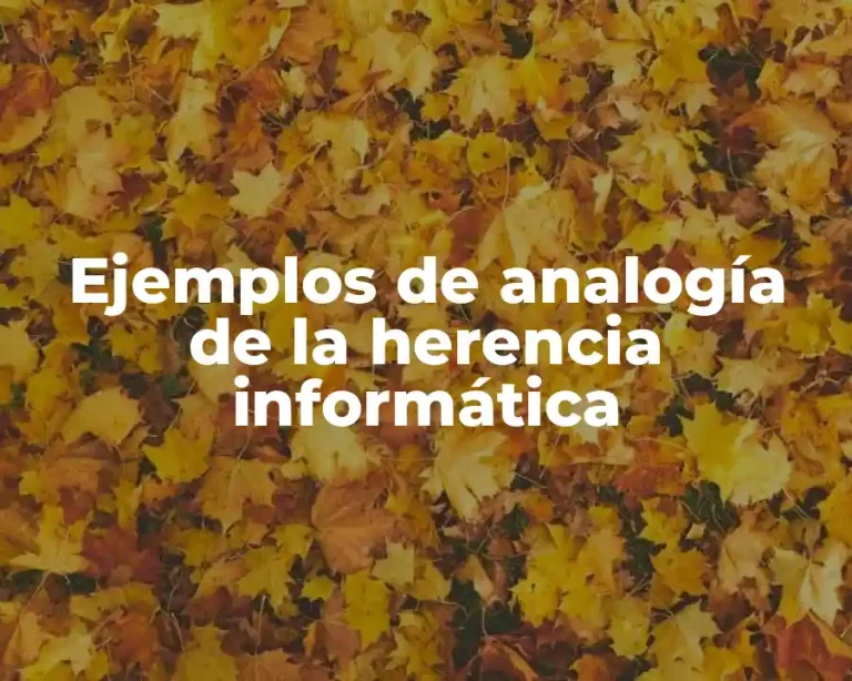 Ejemplos de analogía de la herencia informática