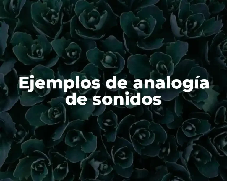 Ejemplos de analogía de sonidos