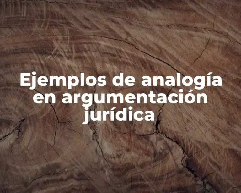 Ejemplos de analogía en argumentación jurídica
