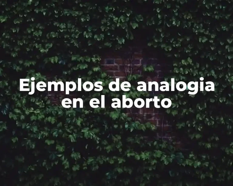 Ejemplos de analogia en el aborto