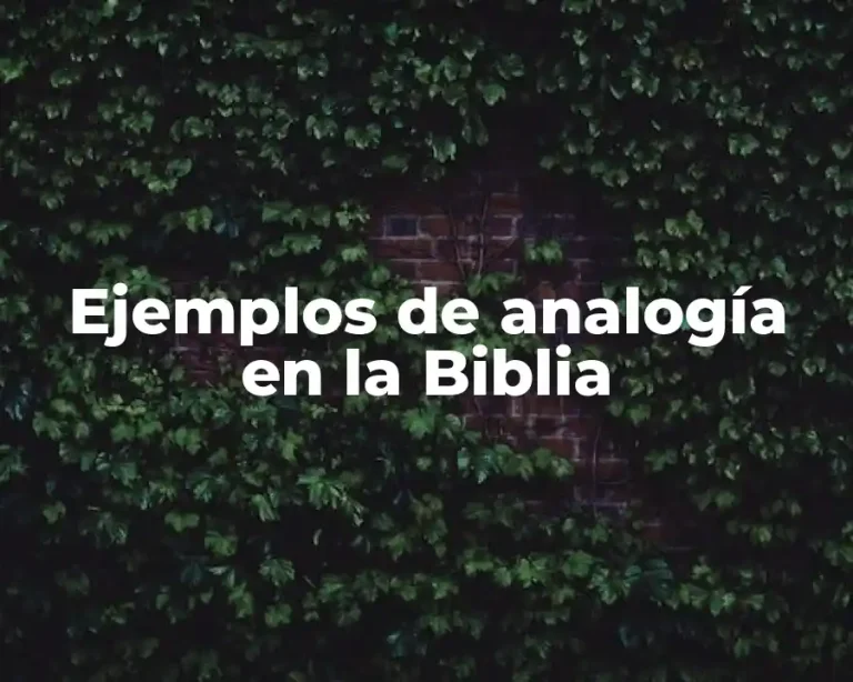Ejemplos de analogía en la Biblia