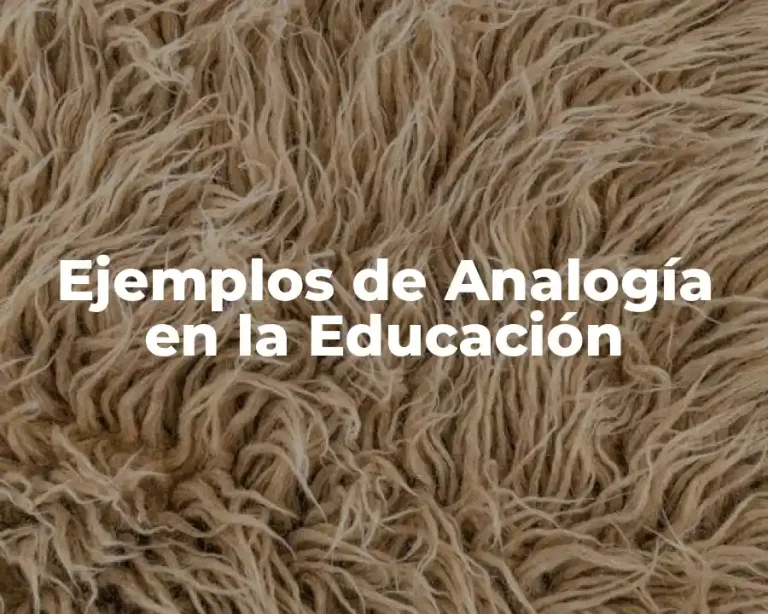 Ejemplos de Analogía en la Educación