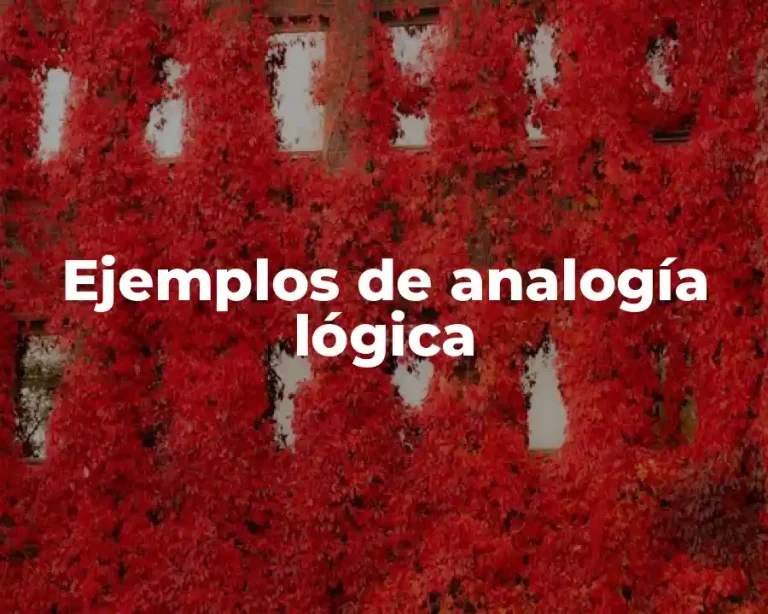 Ejemplos de analogía lógica