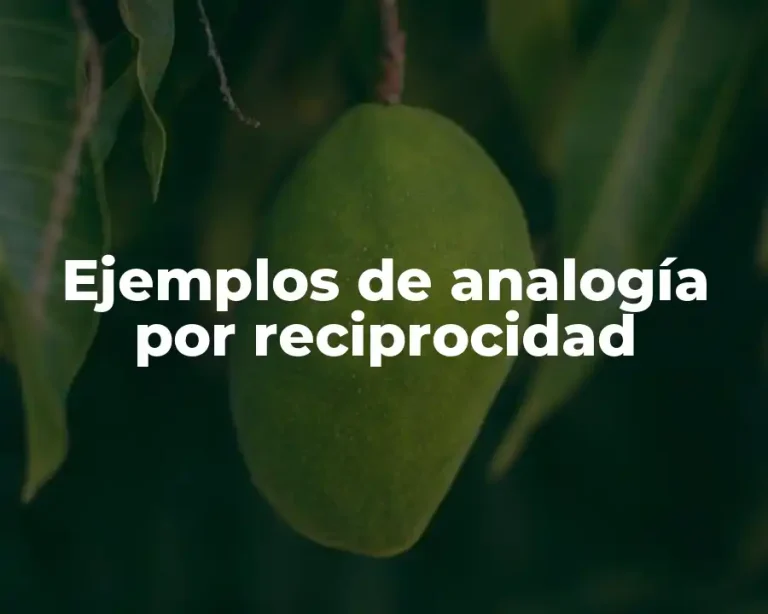 Ejemplos de analogía por reciprocidad