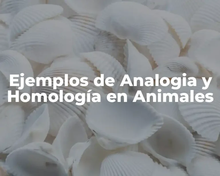 Ejemplos de Analogia y Homología en Animales