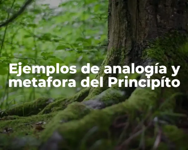 Ejemplos de analogía y metafora del Principíto