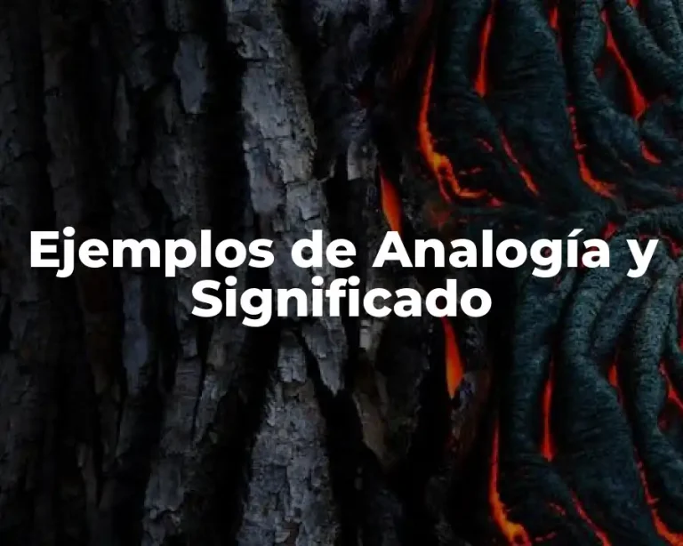 Ejemplos de Analogía y Significado