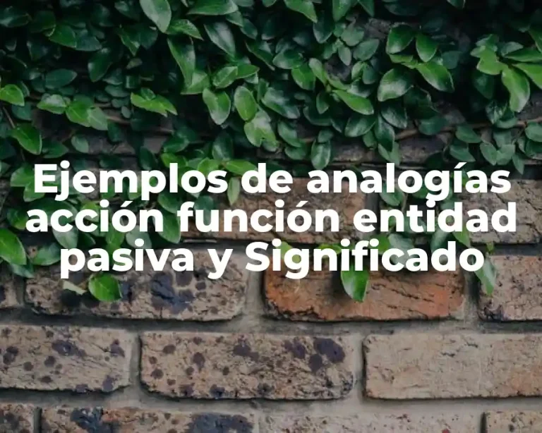 Ejemplos de analogías acción función entidad pasiva y Significado