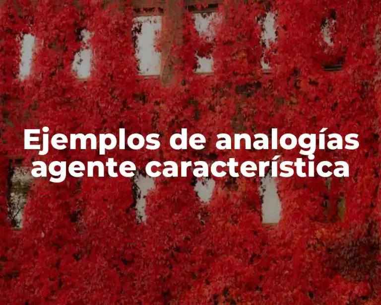 Ejemplos de analogías agente característica