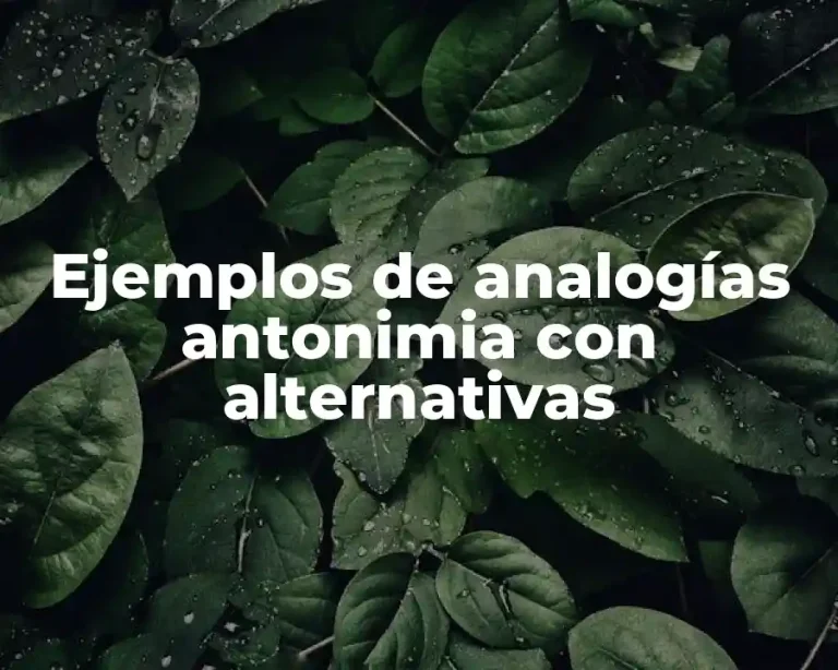 Ejemplos de analogías antonimia con alternativas