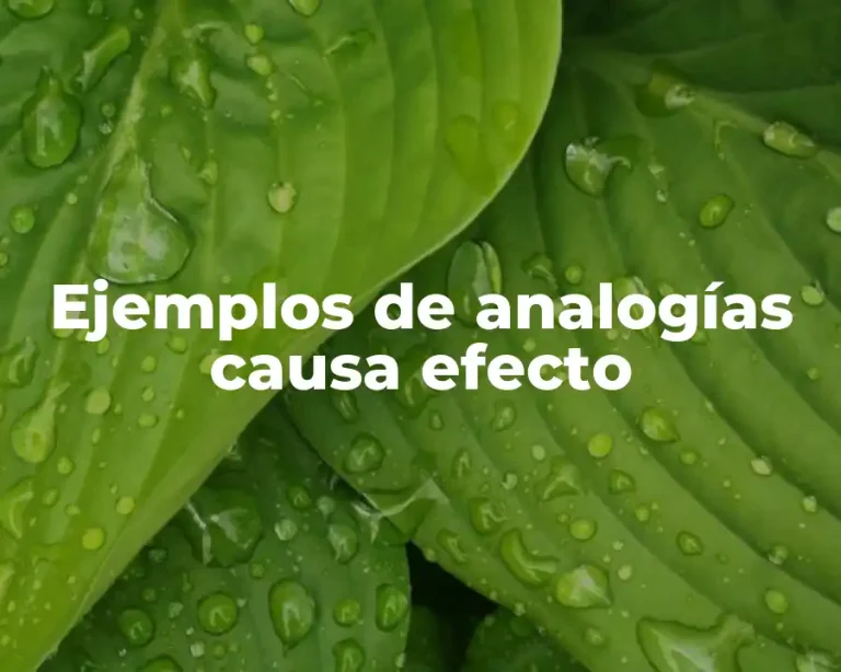 Ejemplos de analogías causa efecto