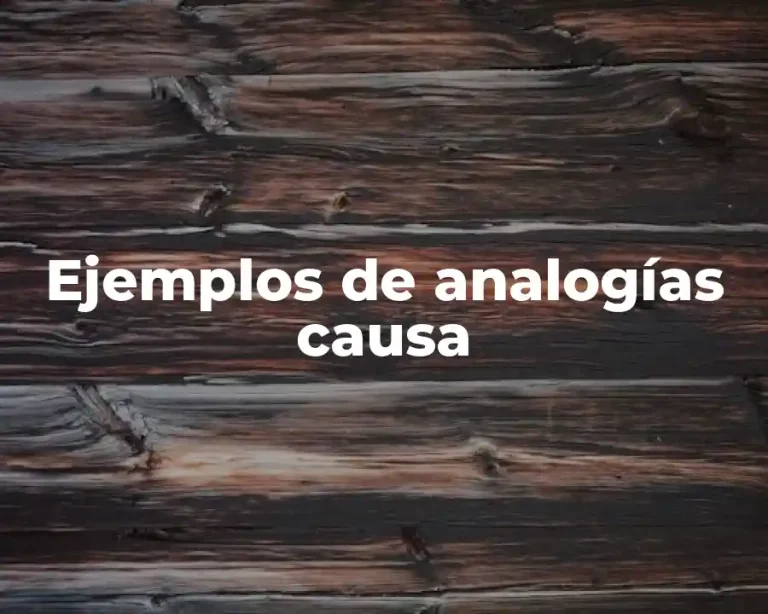Ejemplos de analogías causa