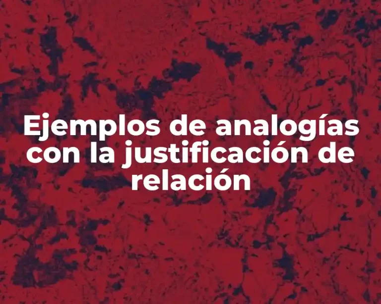 Ejemplos de analogías con la justificación de relación