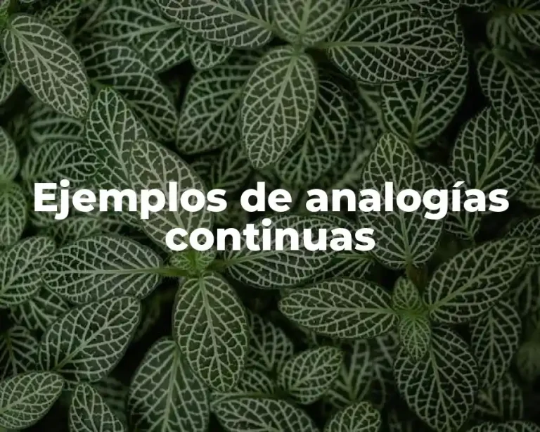 Ejemplos de analogías continuas