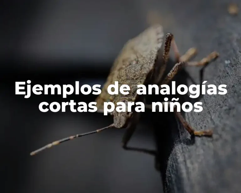 Ejemplos de analogías cortas para niños