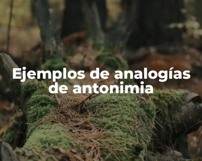 Ejemplos de analogías de antonimia