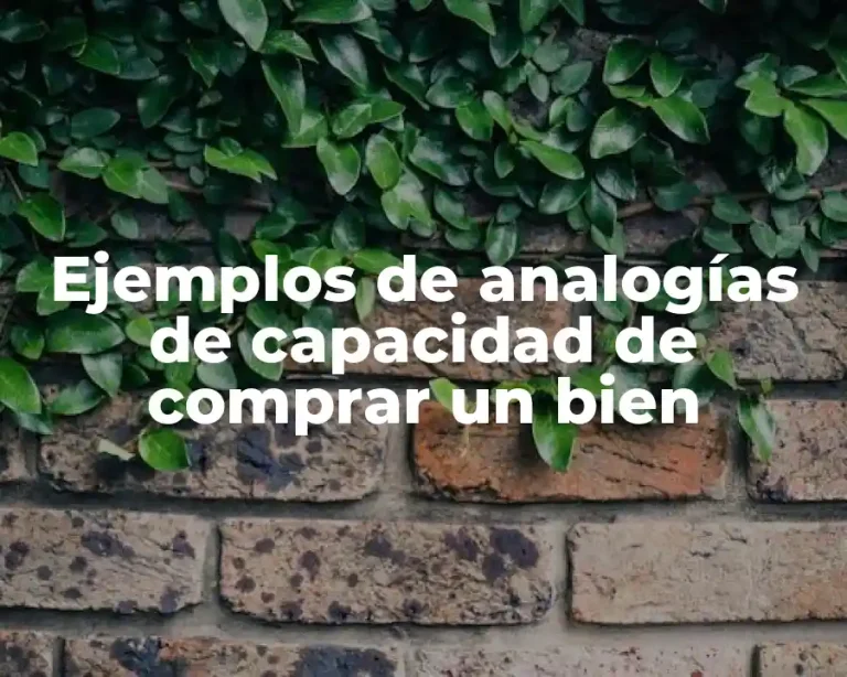 Ejemplos de analogías de capacidad de comprar un bien