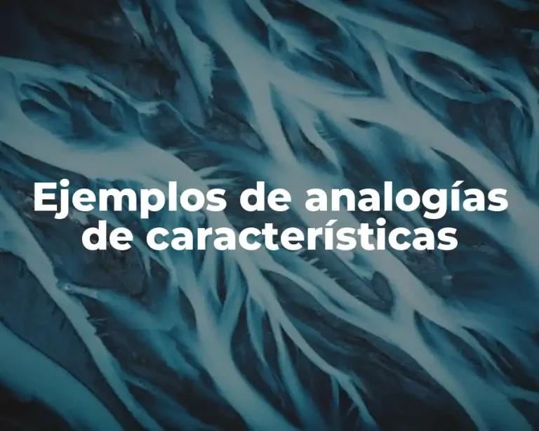 Ejemplos de analogías de características