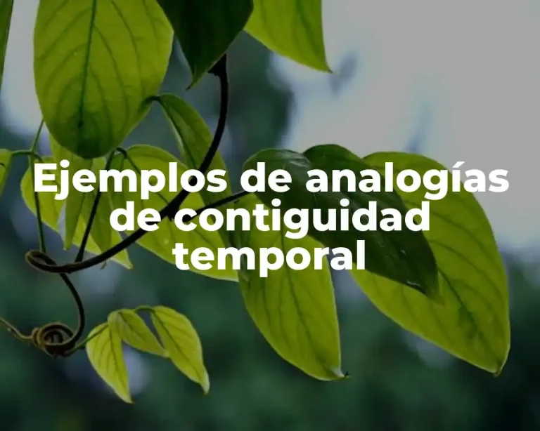 Ejemplos de analogías de contiguidad temporal