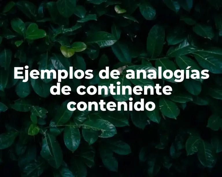 Ejemplos de analogías de continente contenido