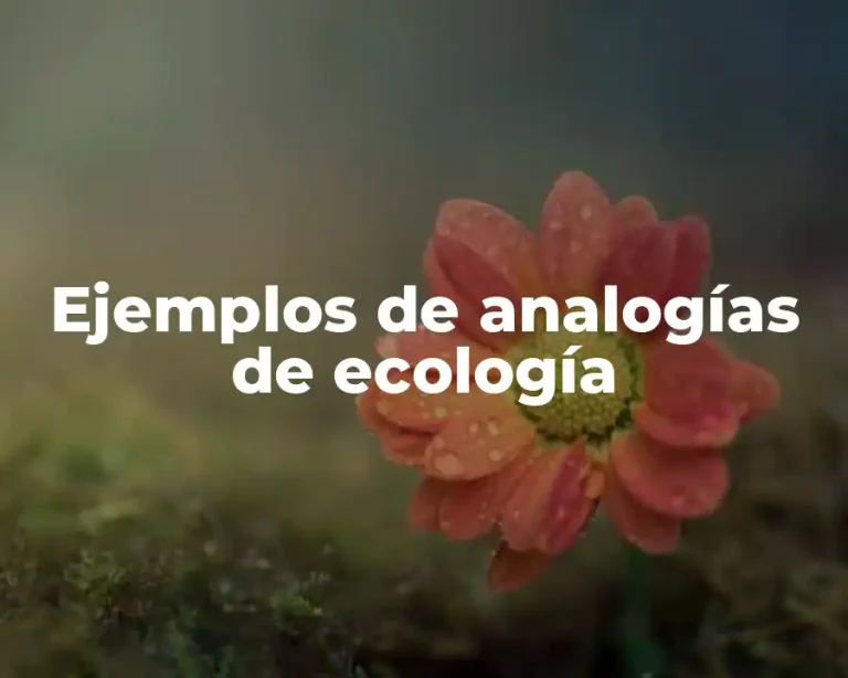 Ejemplos de analogías de ecología