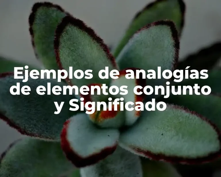 Ejemplos de analogías de elementos conjunto y Significado