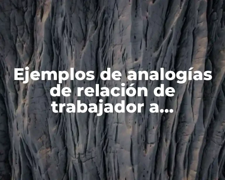 Ejemplos de analogías de relación de trabajador a herramienta y Significado