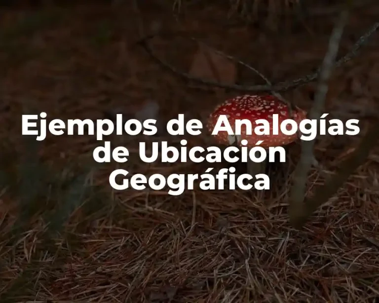 Ejemplos de Analogías de Ubicación Geográfica