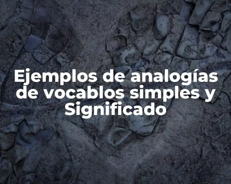 Ejemplos de analogías de vocablos simples y Significado