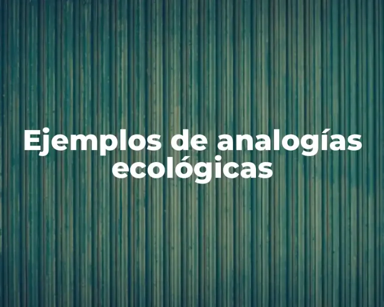 Ejemplos de analogías ecológicas