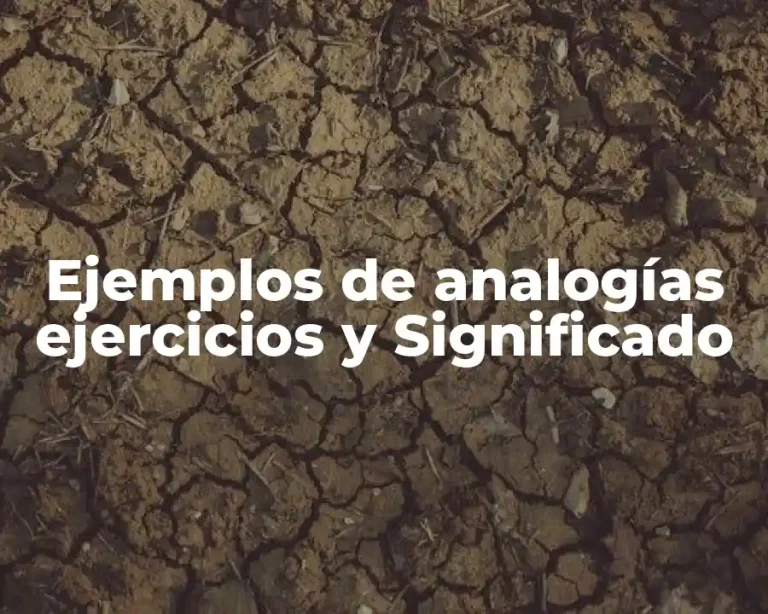 Ejemplos de analogías ejercicios y Significado