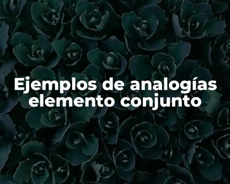 Ejemplos de analogías elemento conjunto