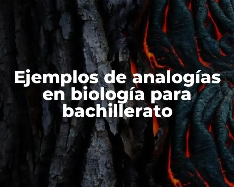 Ejemplos de analogías en biología para bachillerato