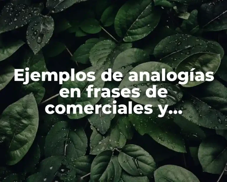 Ejemplos de analogías en frases de comerciales y Significado