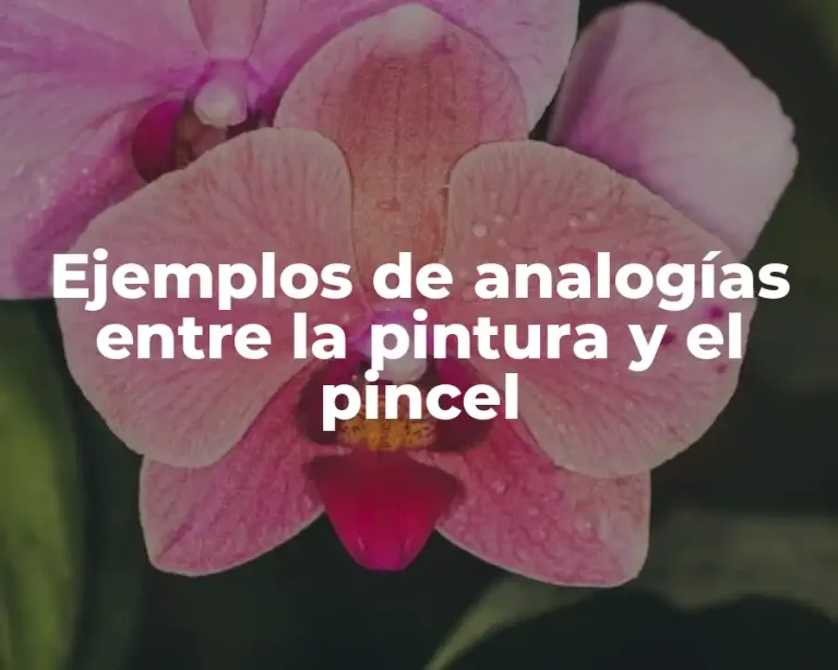 Ejemplos de analogías entre la pintura y el pincel