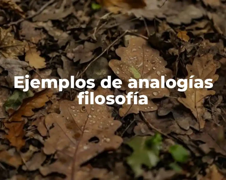 Ejemplos de analogías filosofía