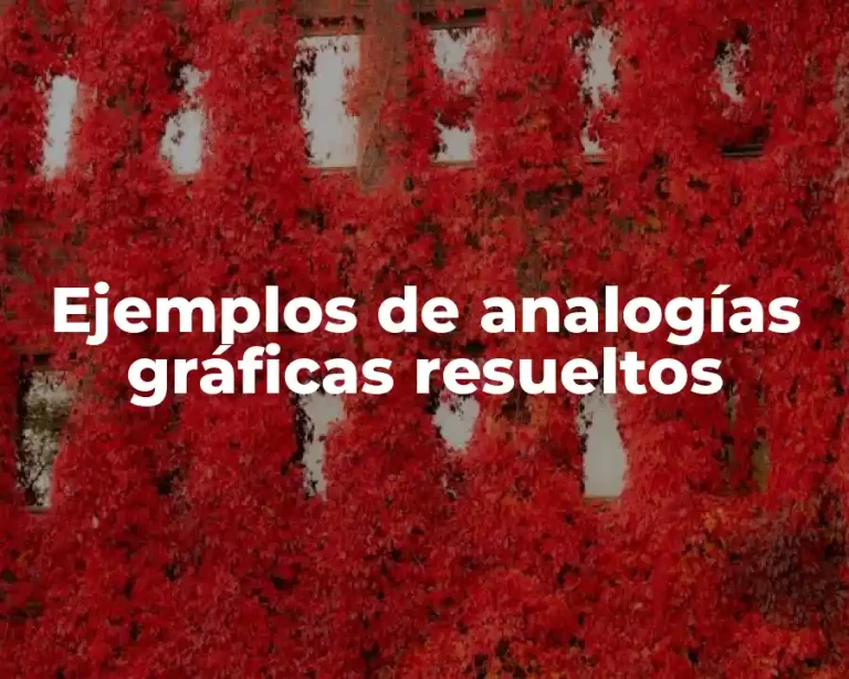 Ejemplos de analogías gráficas resueltos