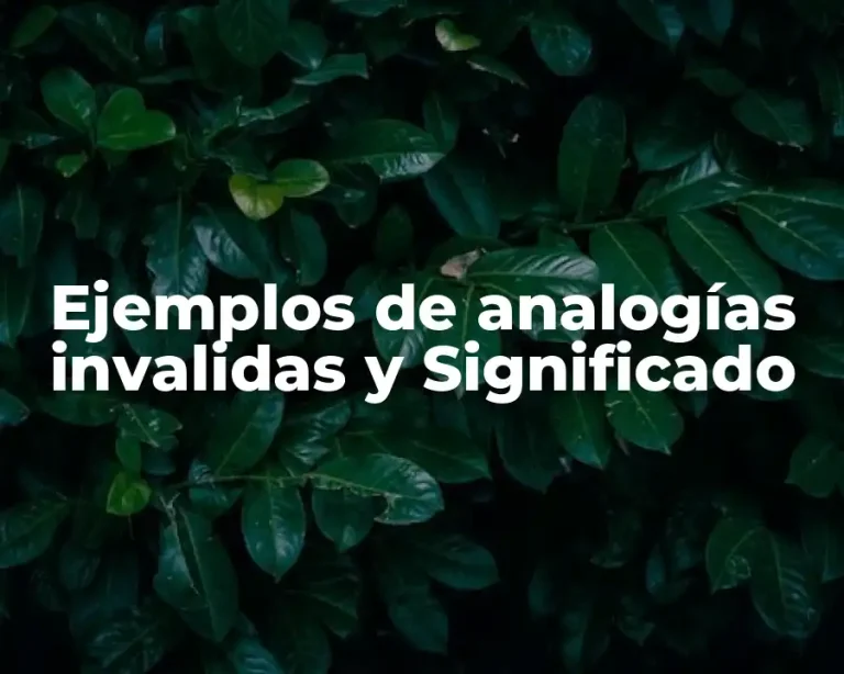 Ejemplos de analogías invalidas y Significado