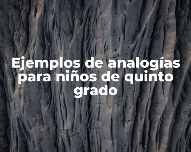 Ejemplos de analogías para niños de quinto grado