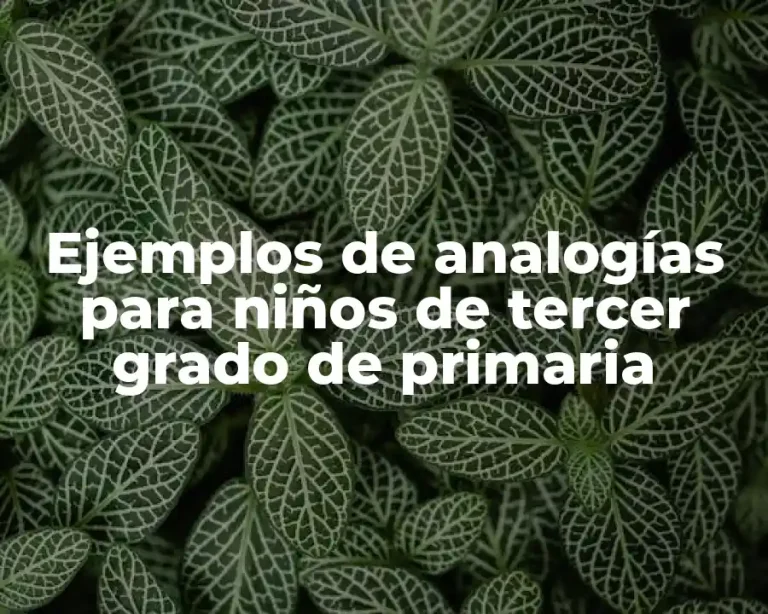 Ejemplos de analogías para niños de tercer grado de primaria